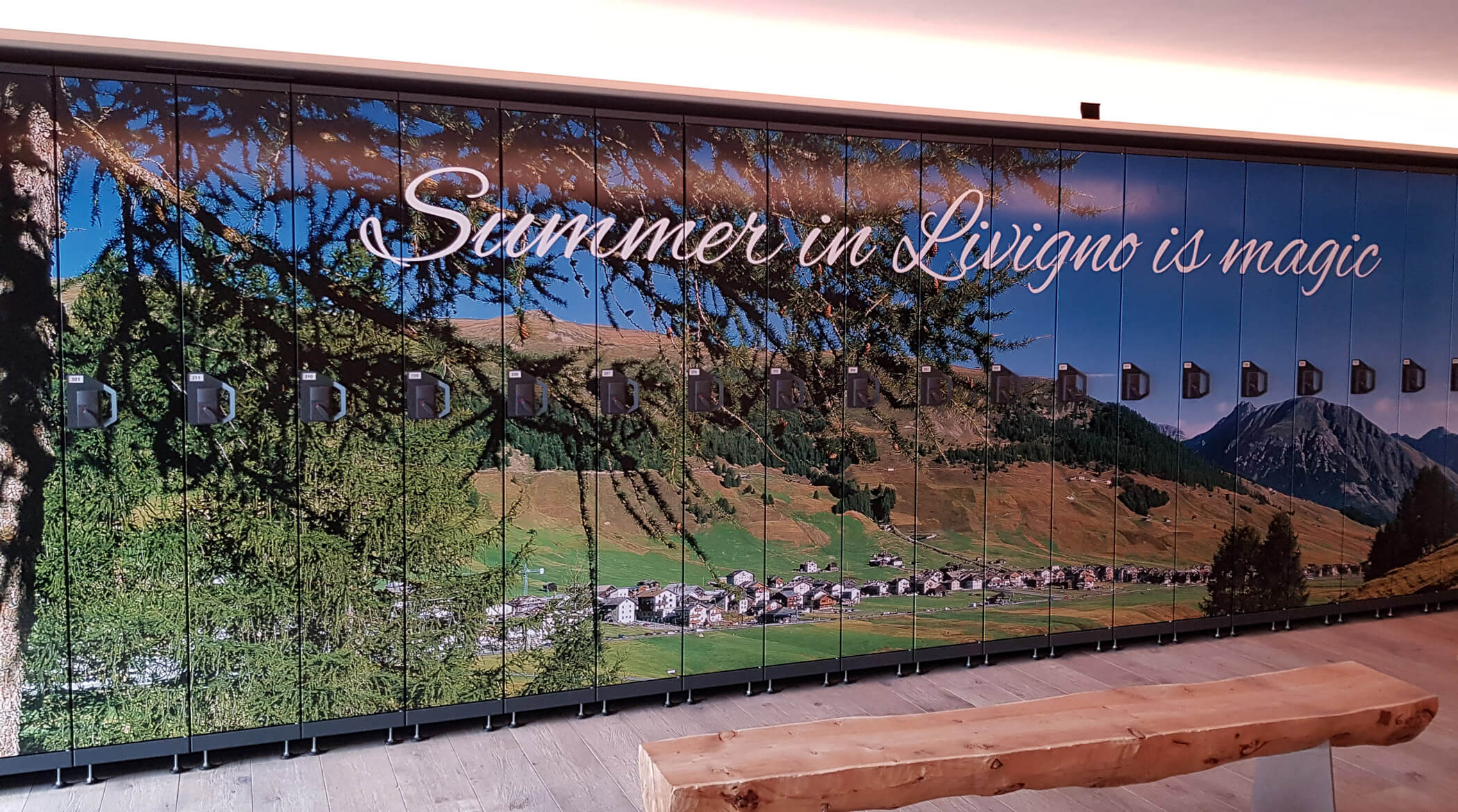 Projecting - Ski lockers